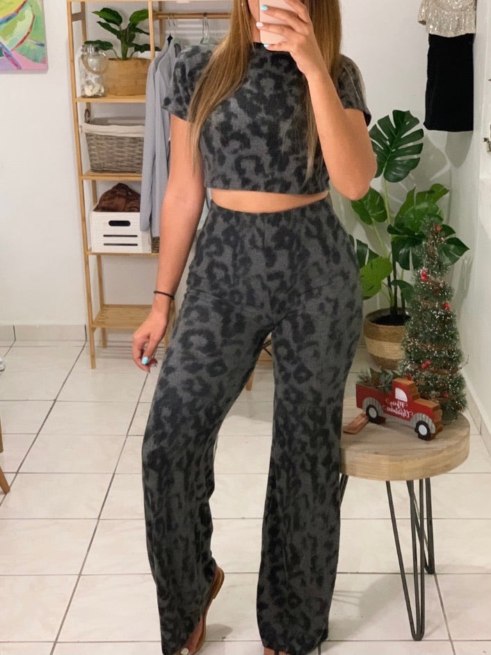 Cheetah Set