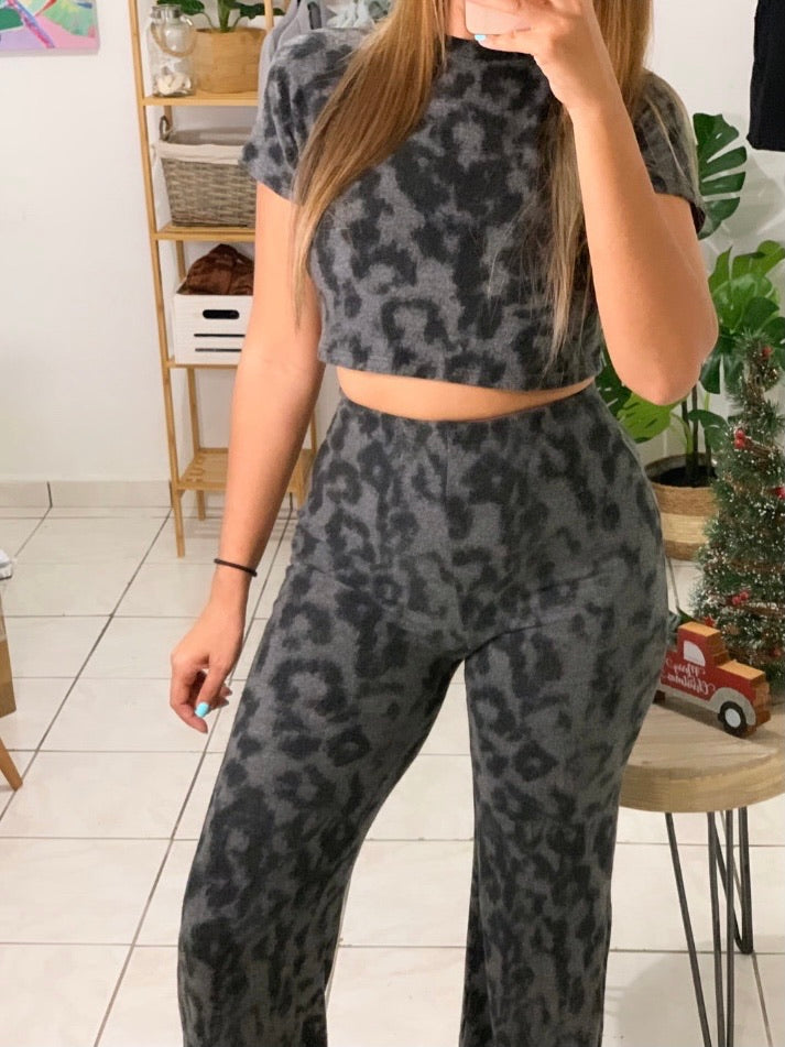 Cheetah Set