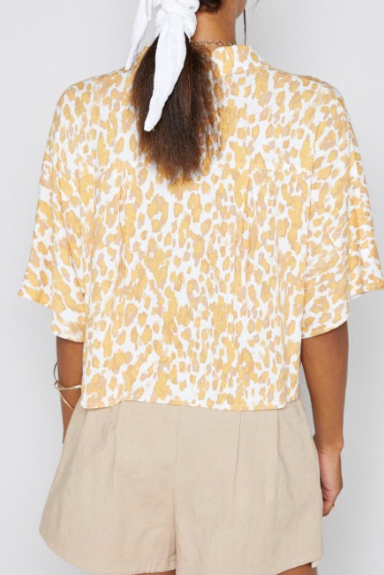 Sunset Gold Top