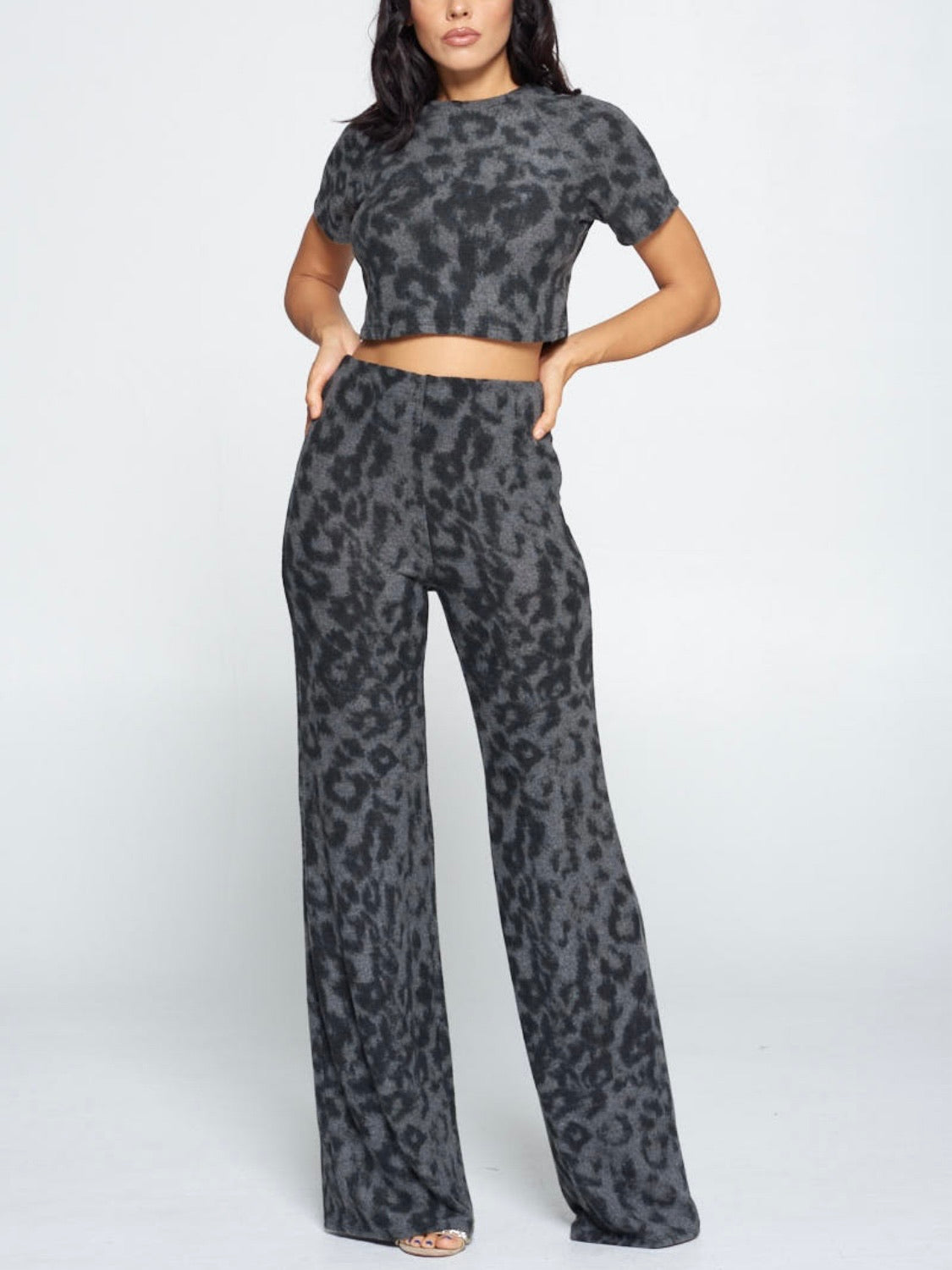 Cheetah Set