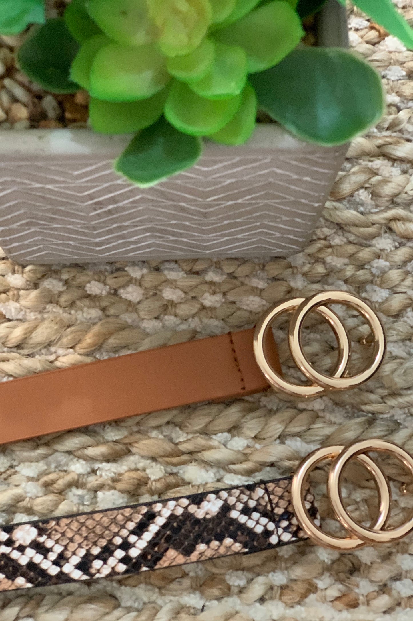 Snaky and Brown Belt Set