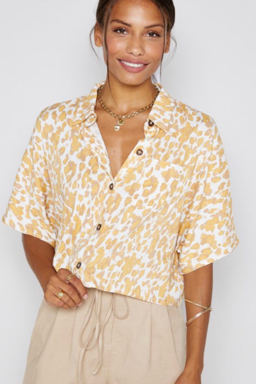 Sunset Gold Top