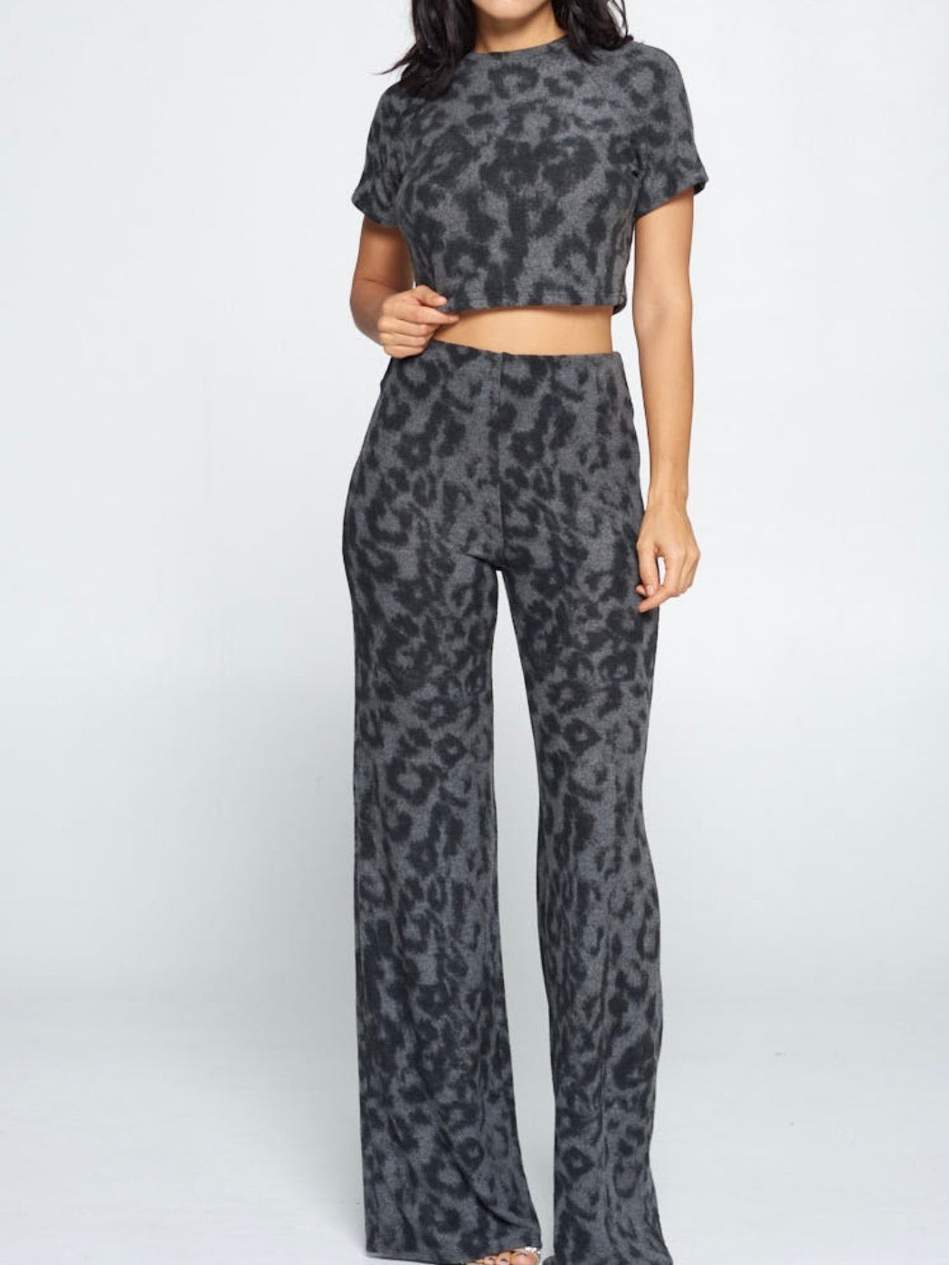 Cheetah Set