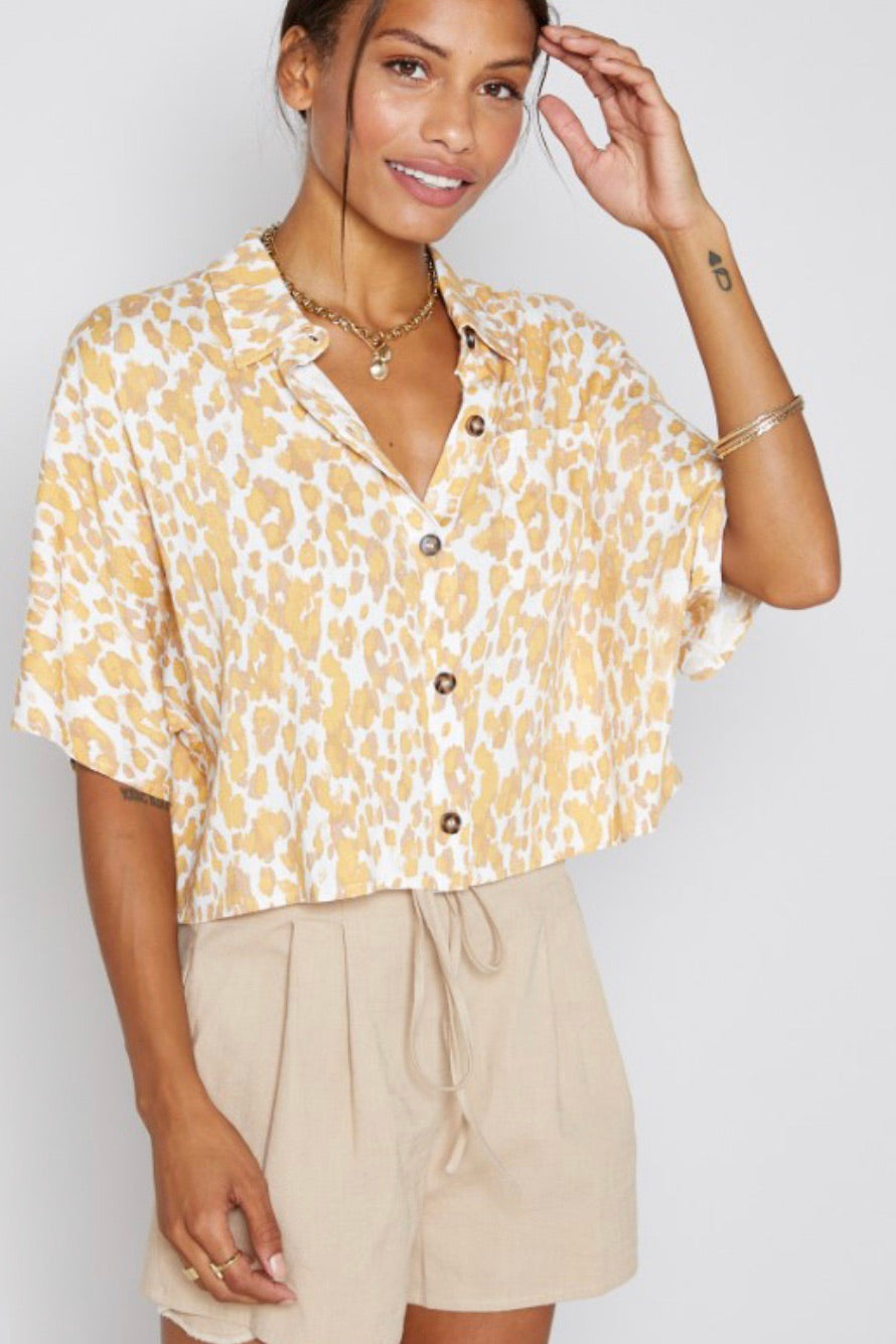 Sunset Gold Top